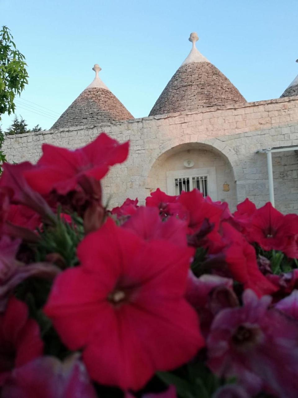 Antiche Dimore Terrarossa Alberobello Exterior photo